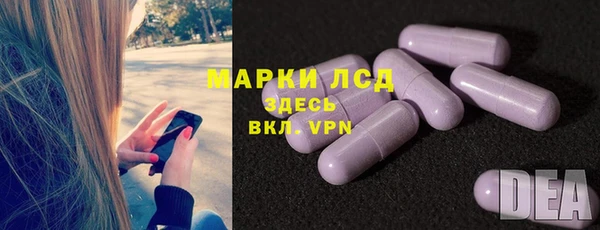 шишки Лабытнанги