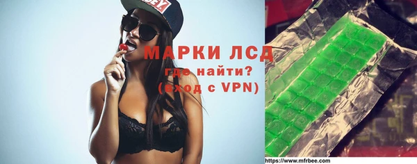 шишки Лабытнанги