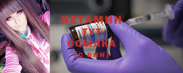 шишки Лабытнанги