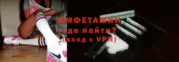 шишки Лабытнанги