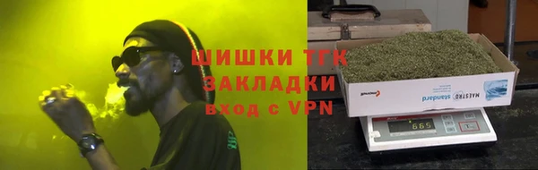 шишки Лабытнанги