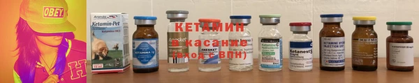 шишки Лабытнанги
