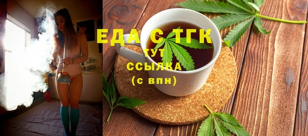 шишки Лабытнанги