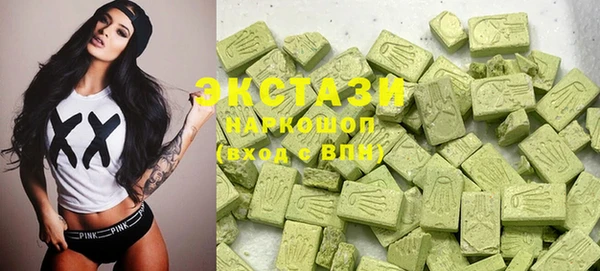 шишки Лабытнанги
