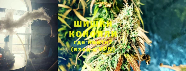 шишки Лабытнанги