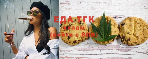 шишки Лабытнанги