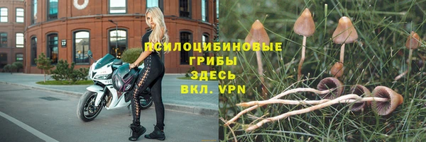 шишки Лабытнанги