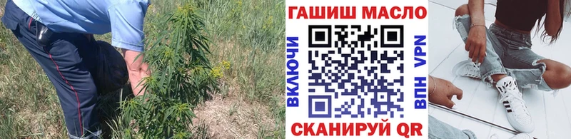 кракен ССЫЛКА  Гусь-Хрустальный  ТГК жижа 
