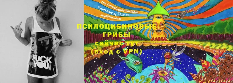 MEGA онион  Гусь-Хрустальный  Галлюциногенные грибы MAGIC MUSHROOMS 