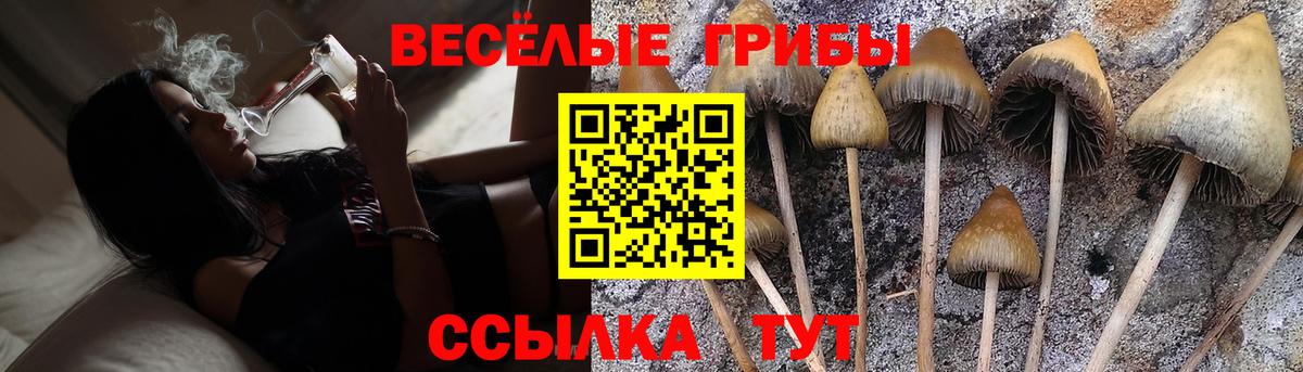Гусь-Хрустальный  МАРИХУАНА  Вход с VPN  Cocaine  Плюхи  Меф 