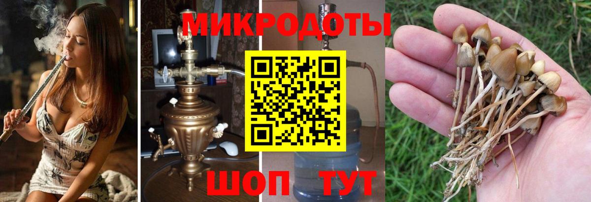Гусь-Хрустальный  Псилоцибиновые грибы Cubensis  Вход с VPN 