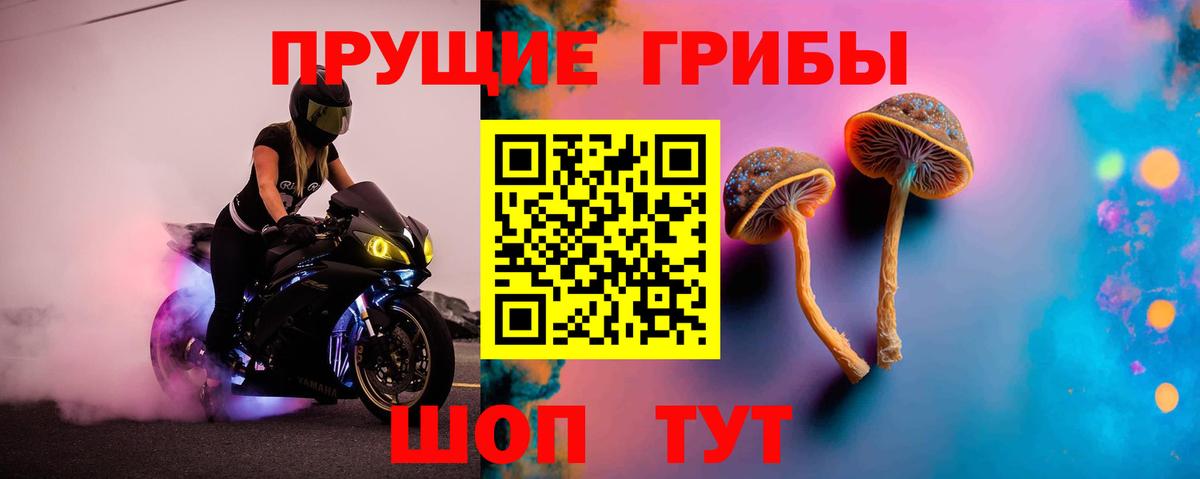 Псилоцибиновые грибы мицелий  цена   Гусь-Хрустальный 